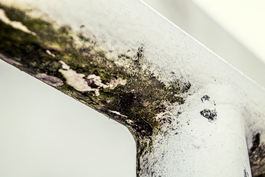 Professional water damage restoration equipment and crew working in Houston TX property